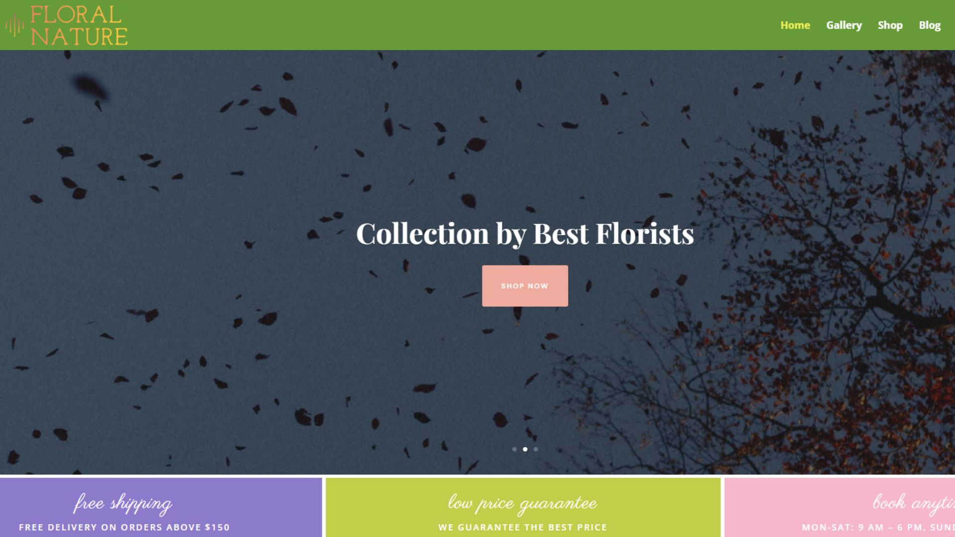 Online Lillies Flowershop Shop